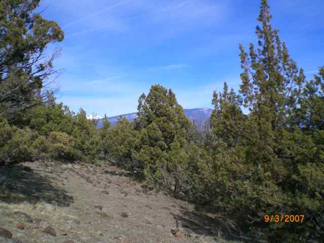 3-84 Dwinnel Road Weed, CA 96094 - Photo 6 of 9 Gallery Image 6