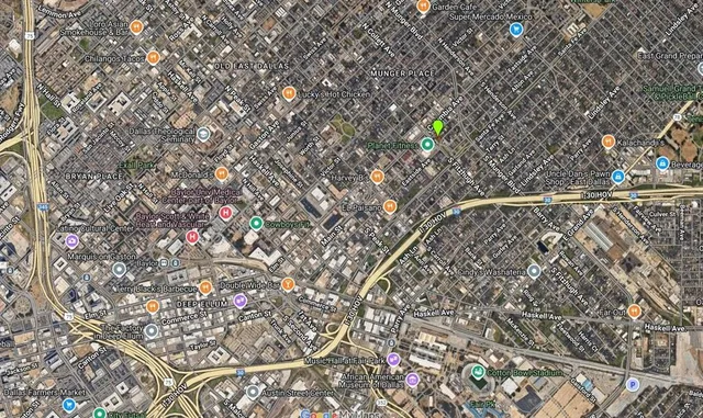 a close up of a plant in a pot