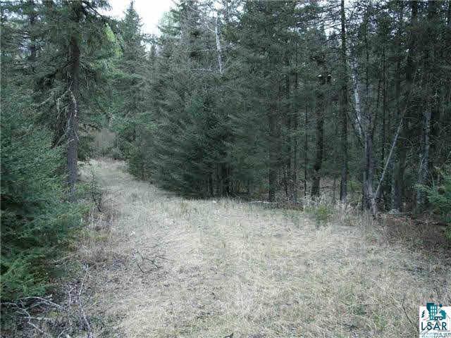 0 Rom Road Ely, MN 55731 - Photo 3 of 4 Gallery Image 3