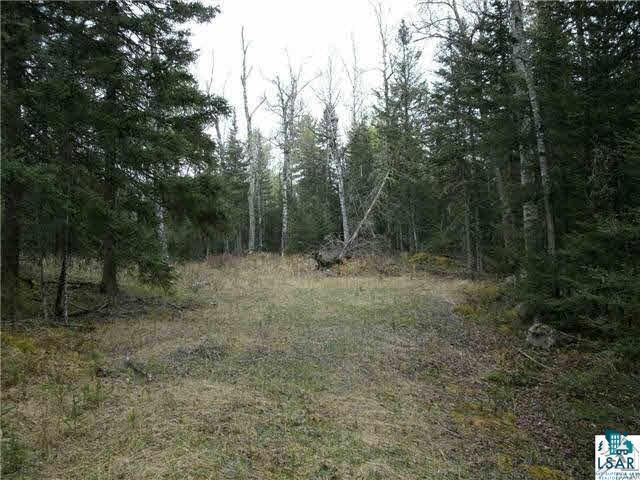 0 Rom Road Ely, MN 55731 - Photo 4 of 4 Gallery Image 4