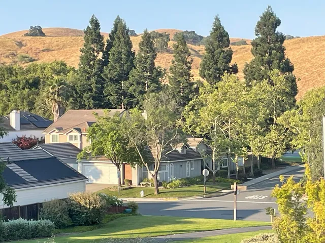 a view of a city and a flower garden