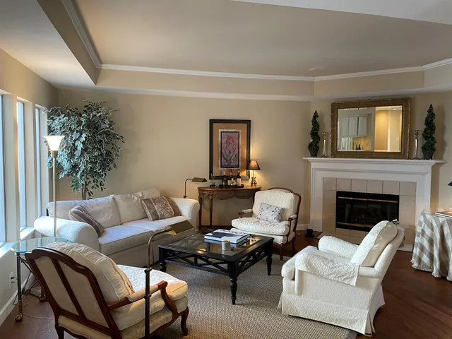 a living room with furniture fireplace and a potted plant