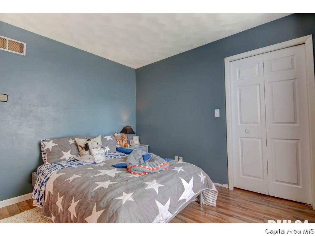 31 Dean Park Road Dawson, IL 62520 - Photo 22 of 32