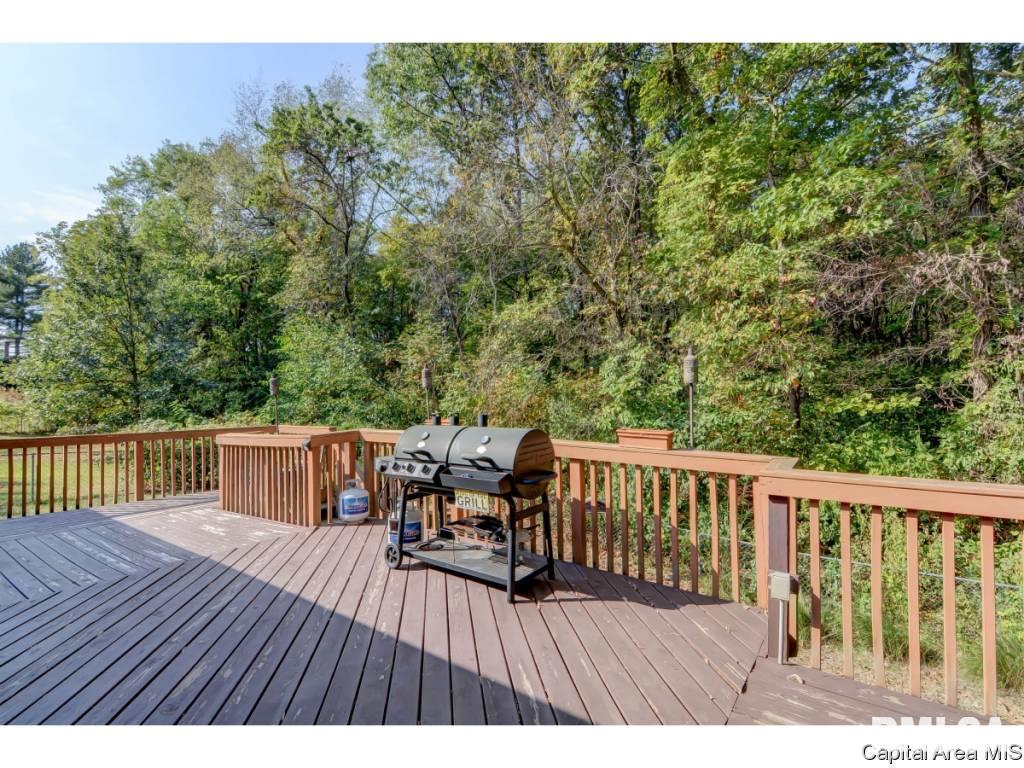 31 Dean Park Road Dawson, IL 62520 - Photo 4 of 32