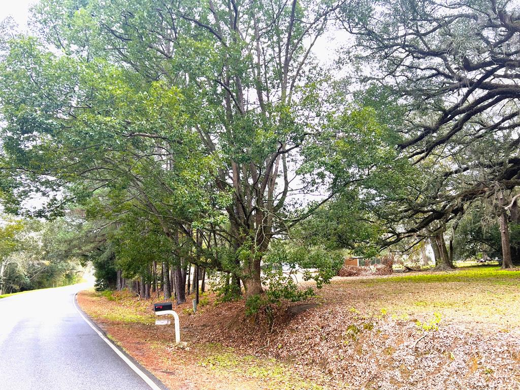 3.97-acr Beaty Road Pavo, GA 31778 - Photo 9 of 37 Gallery Image 9