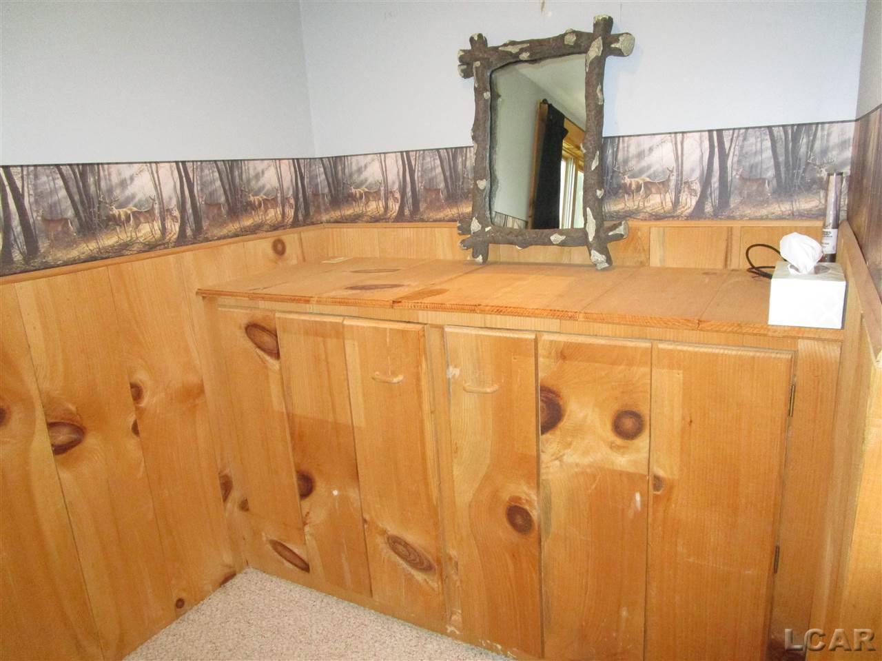 11727 Rexford Road Manitou Beach, MI 49253 - Photo 26 of 34 31379831-33.JPG