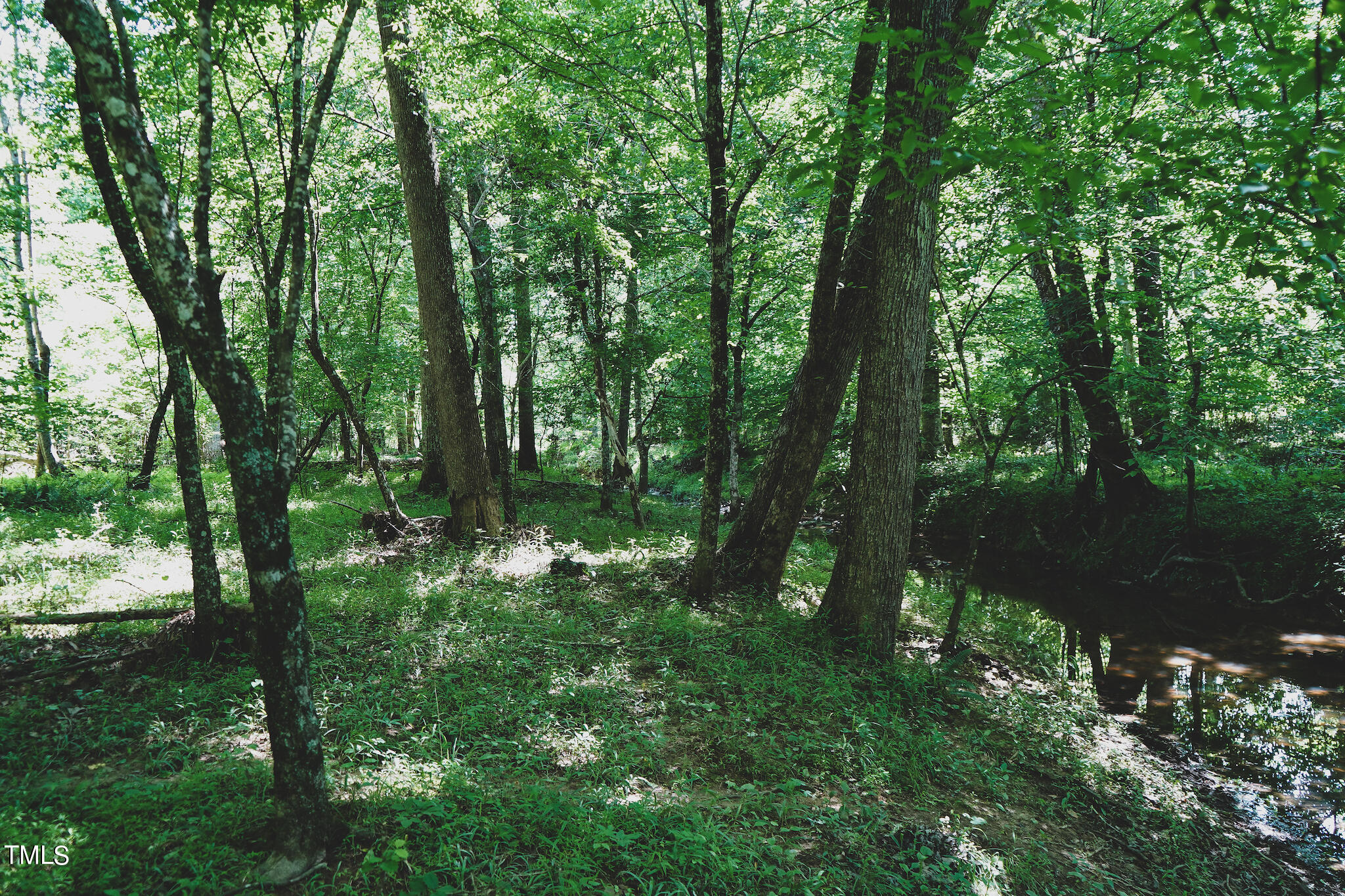 111-acres Hobgood Road Rougemont, NC 27572 - Photo 65 of 65 59
