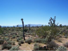 227 Tortoise Yucca, AZ 86438 - Photo 1 of 1 Primary Photo
