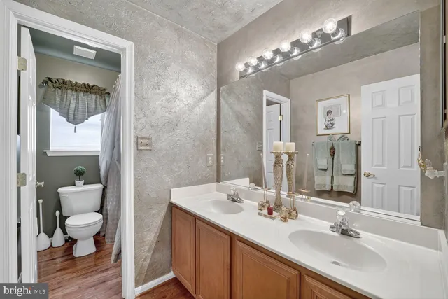 a bathroom with a sink a toilet and a large mirror