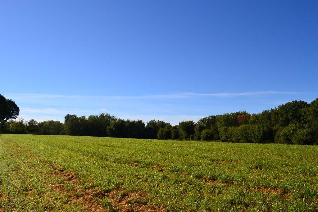 310 Intervale Road Bethel, ME 04217 - Photo 11 of 13 View of field from parcel