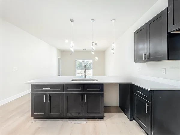 $2,450 | 356 West 4th Street, Apopka, FL 32703