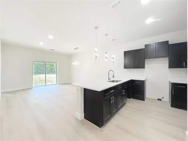 $2,450 | 356 West 4th Street, Apopka, FL 32703