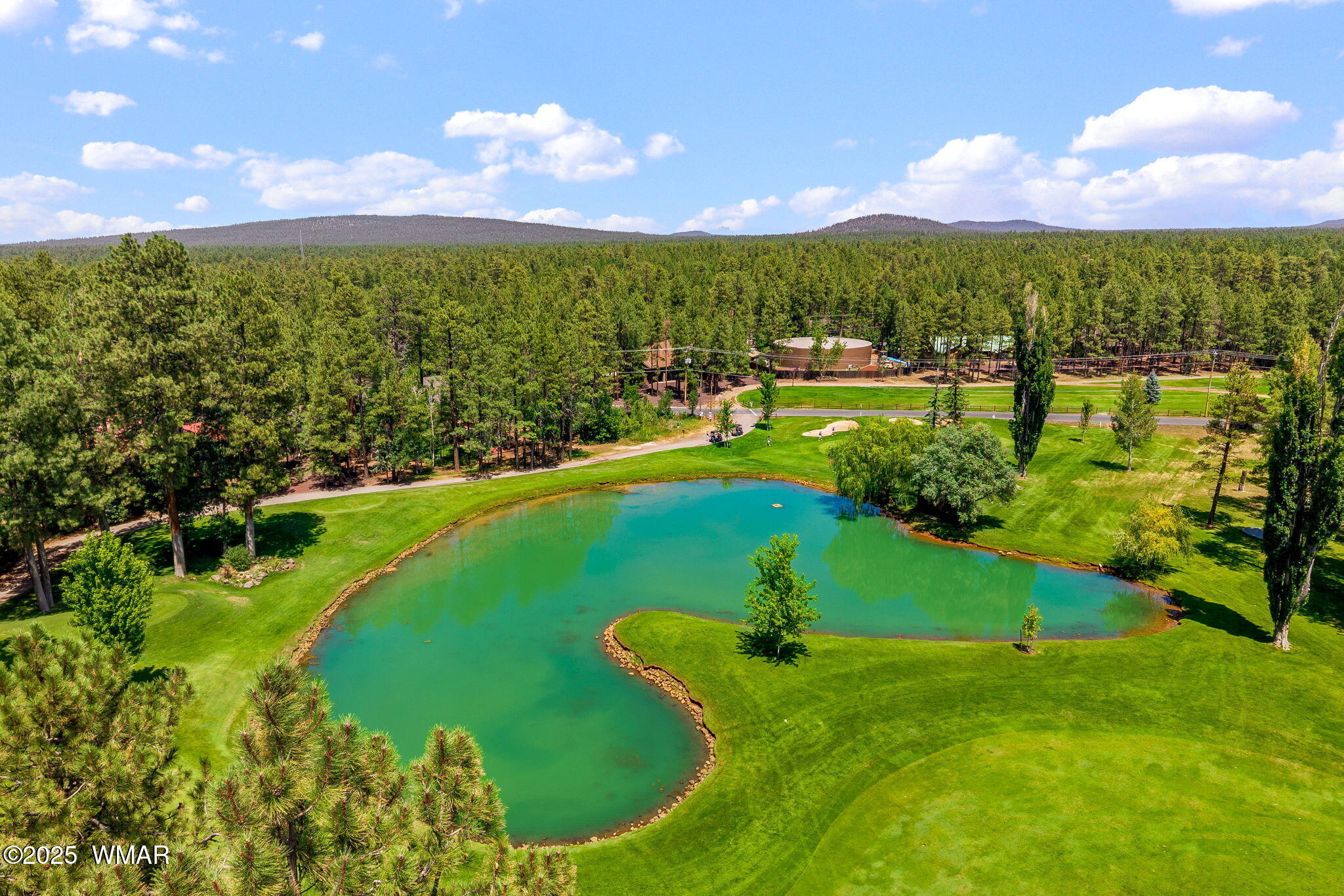6503 Buck Springs Road Pinetop, AZ 85935 - Photo 48 of 58