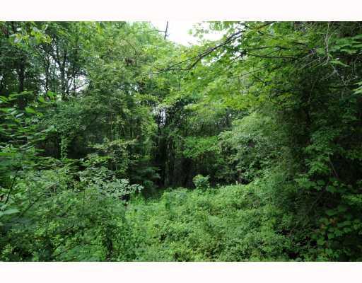 656 Anderson Hozak Road Clinton, PA 15026 - Photo 11 of 11 Exterior Back. 2.81 acres private wooded land