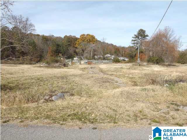 75 Highway 75, Unit 13 & 15 Oneonta, AL 35121 - Photo 9 of 13