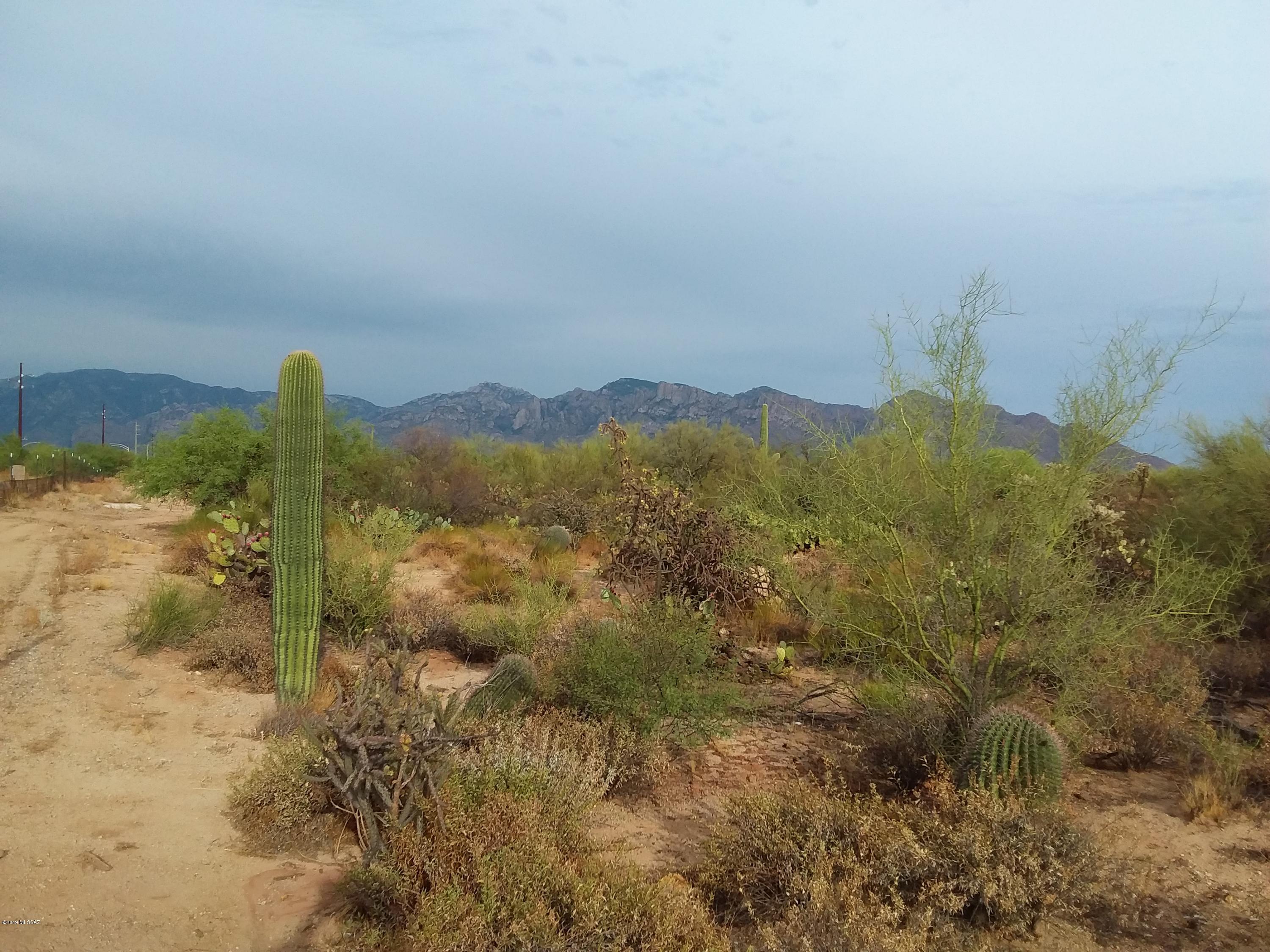 2315 West Tangerine Road Tucson, AZ 85742 - Photo 2 of 27