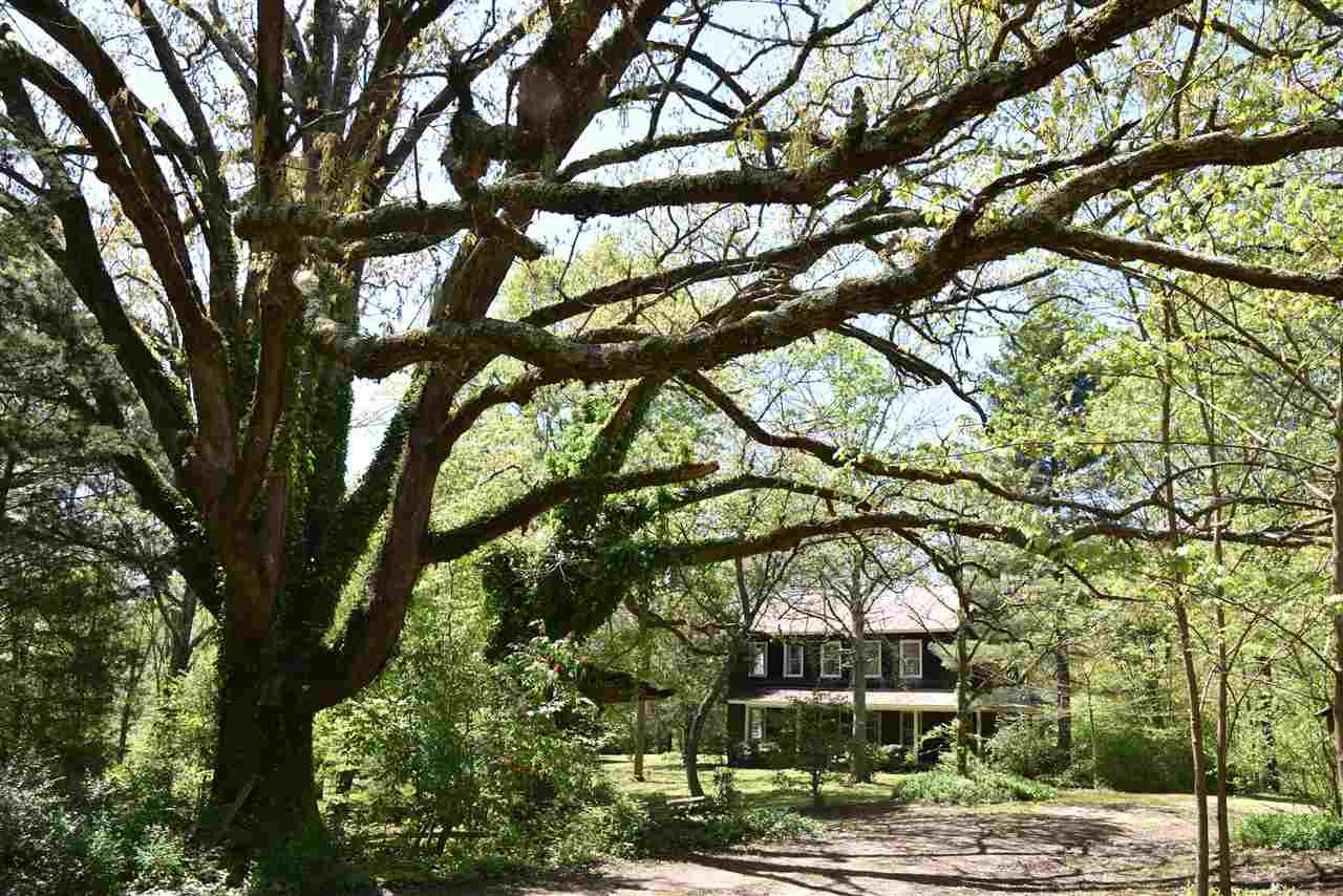 265 Truett Schoolhouse Road Luray, TN 38352 - Photo 1 of 1 Photo 1
