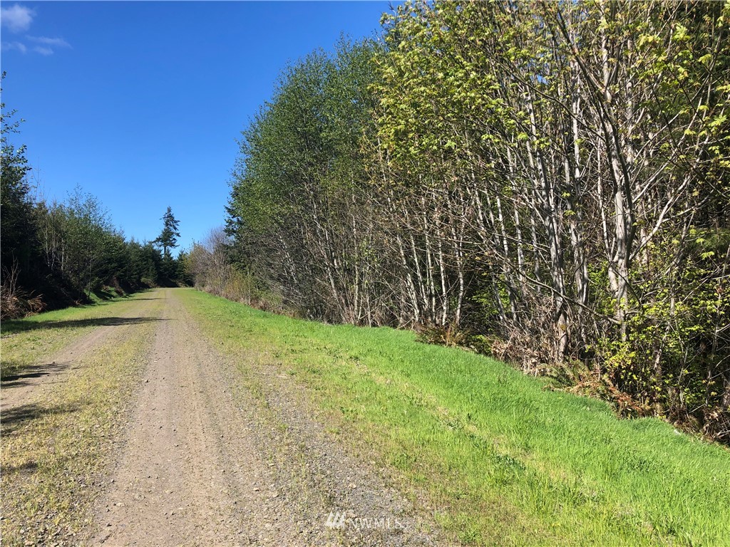 0 Harkum Road Chehalis, WA 98532 - Photo 3 of 11