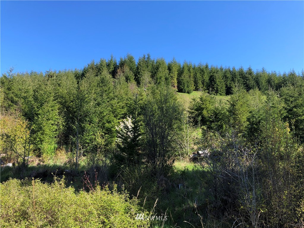 0 Harkum Road Chehalis, WA 98532 - Photo 6 of 11
