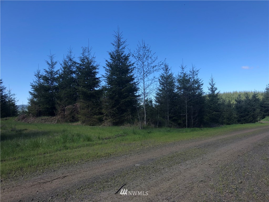0 Harkum Road Chehalis, WA 98532 - Photo 7 of 11