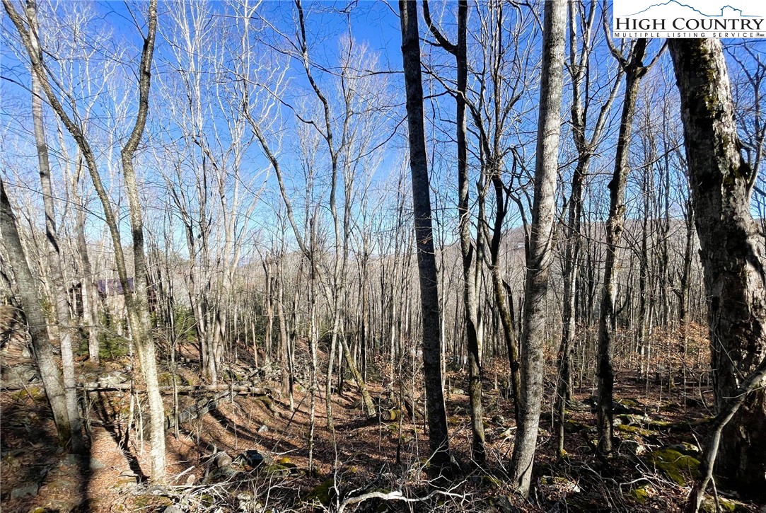 234 Lakeledge Road Beech Mountain, NC 28604 - Photo 2 of 4