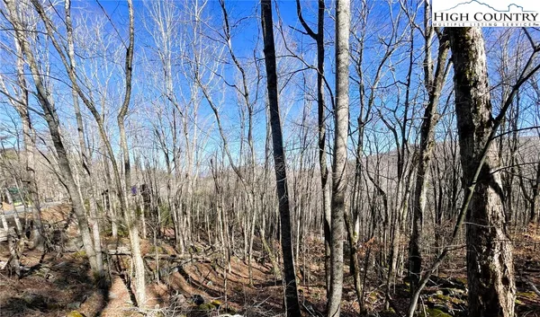 a view of small yard