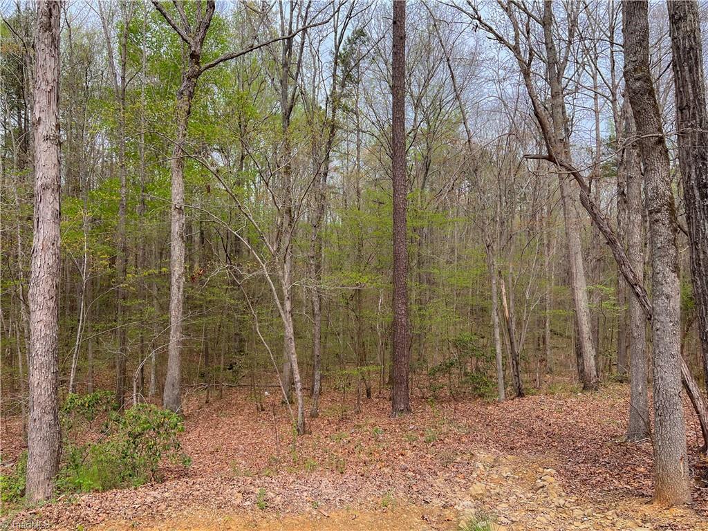 7329 Lassiter Mill Road Asheboro, NC 27205 - Photo 40 of 50 Gallery Image 40