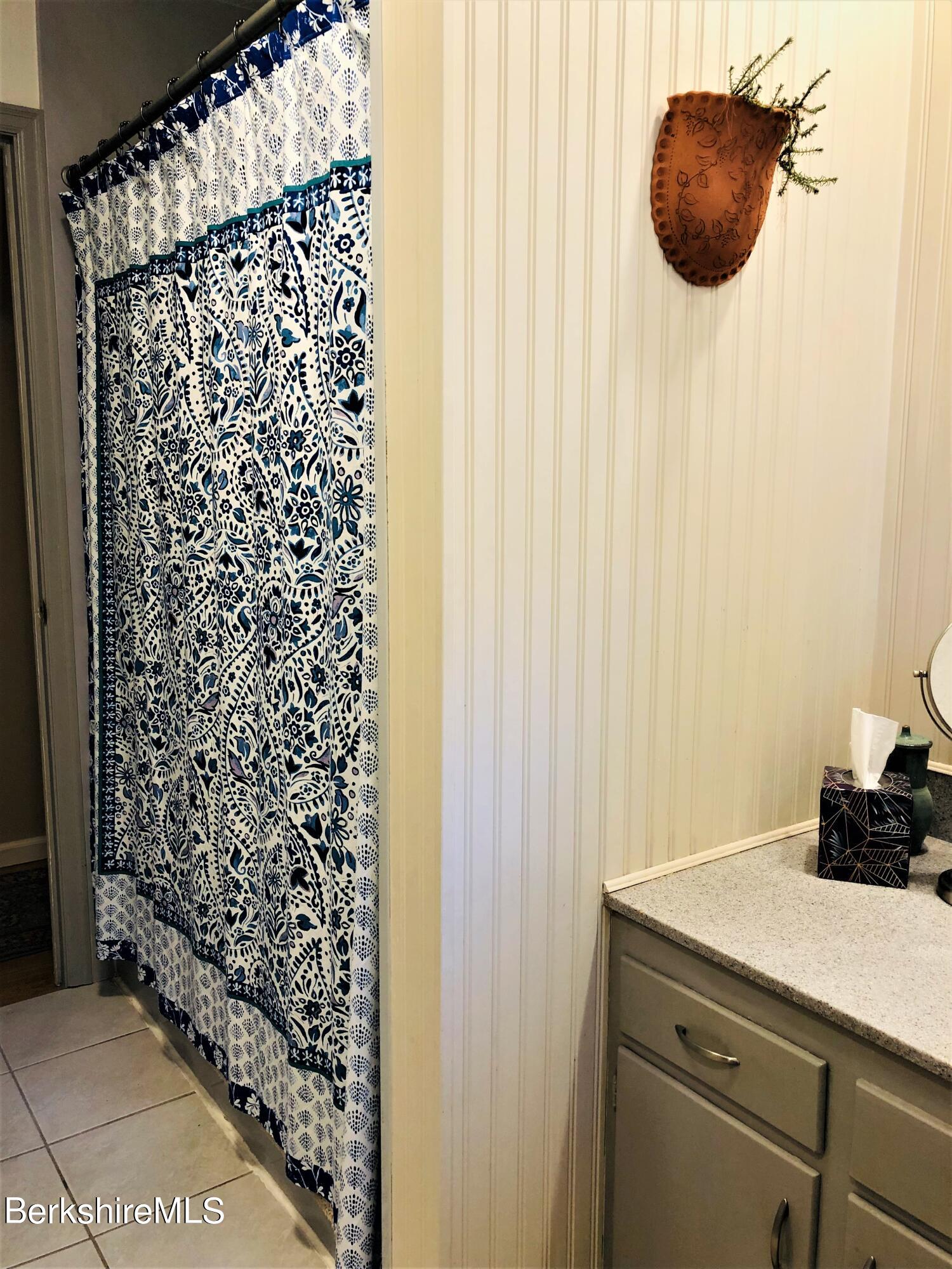 36 Bailey Road Lanesborough, MA 01237 - Photo 13 of 18 Bathroom Shower