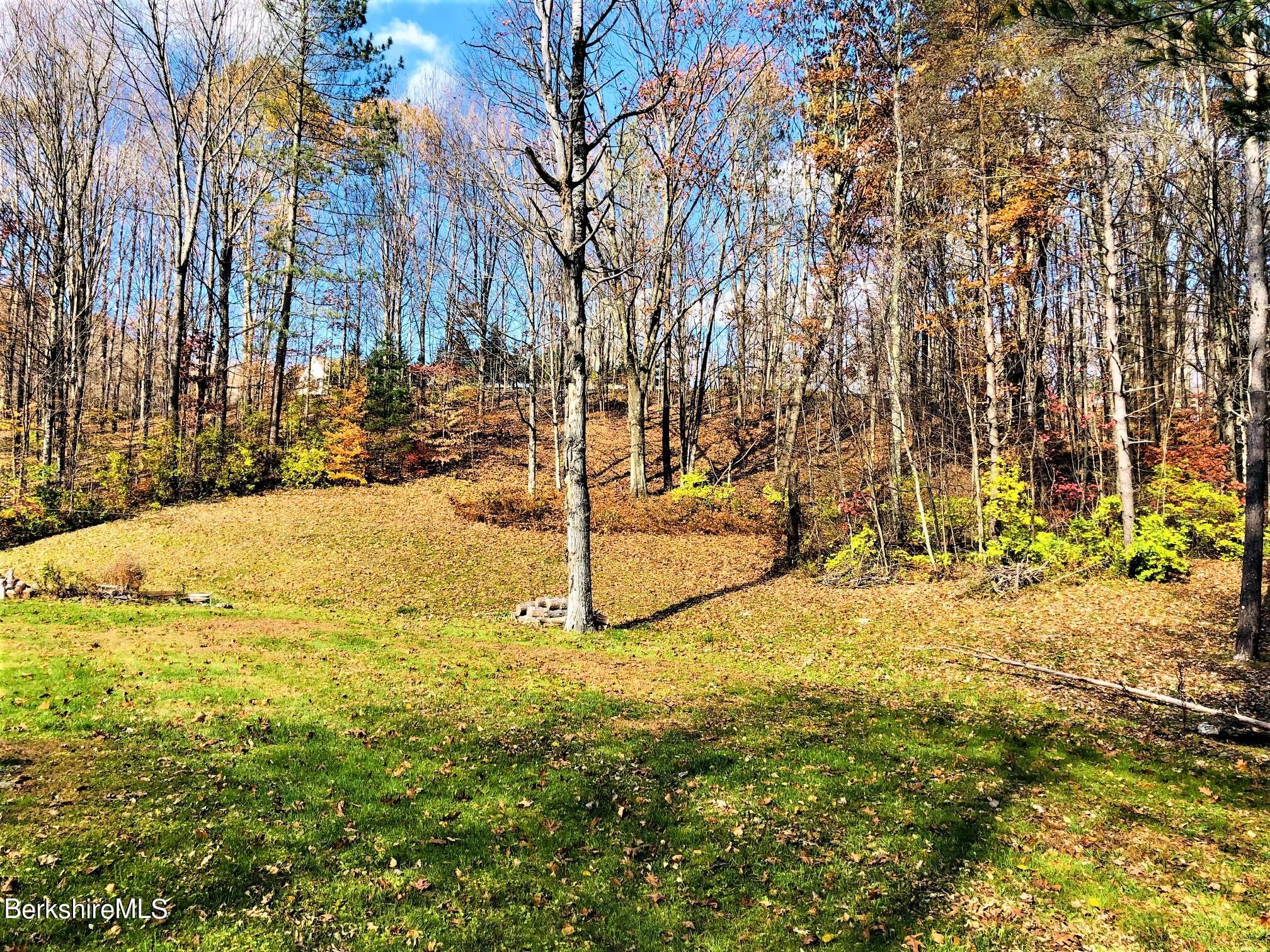 36 Bailey Road Lanesborough, MA 01237 - Photo 18 of 18 Backyard
