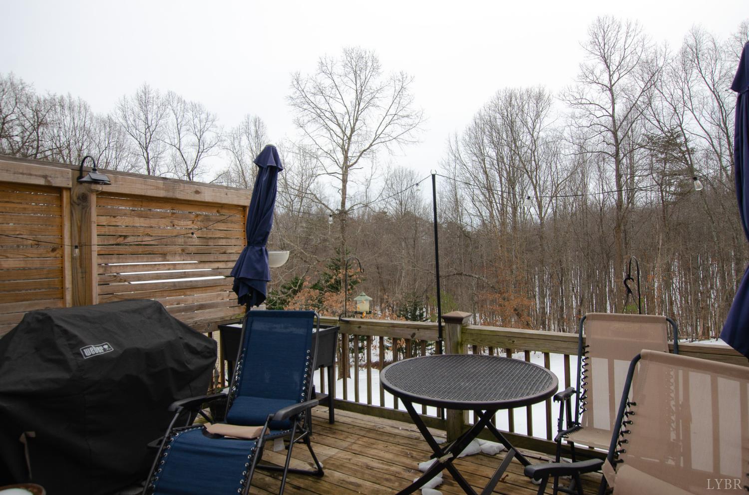 3576 Trents Ferry Road Lynchburg, VA 24503 - Photo 39 of 39