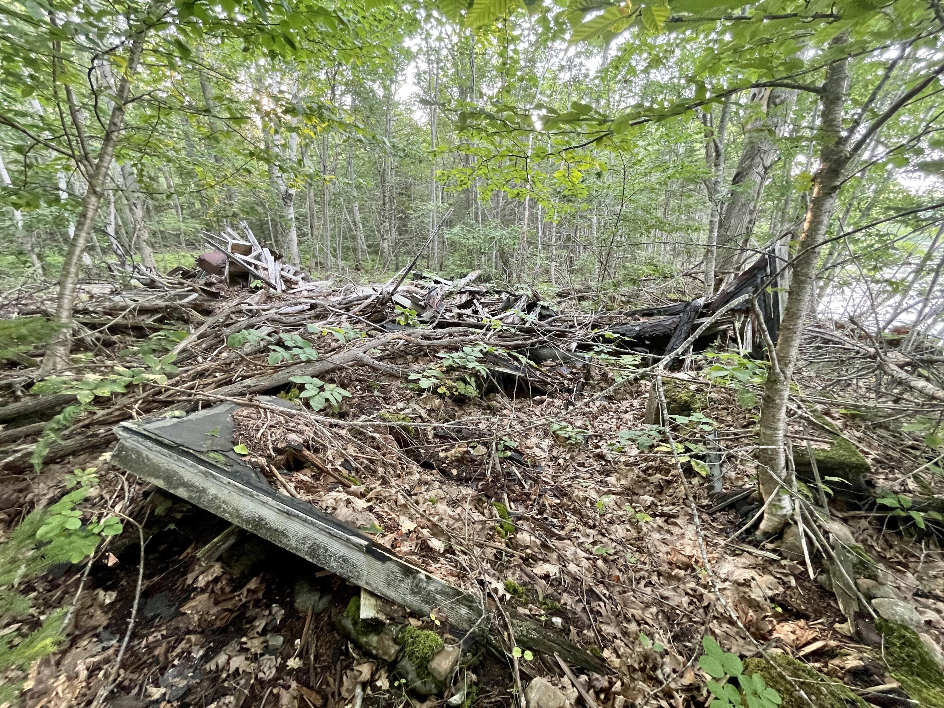 0 Ridge Road Robbinston, ME 04671 - Photo 20 of 35 IMG_7663