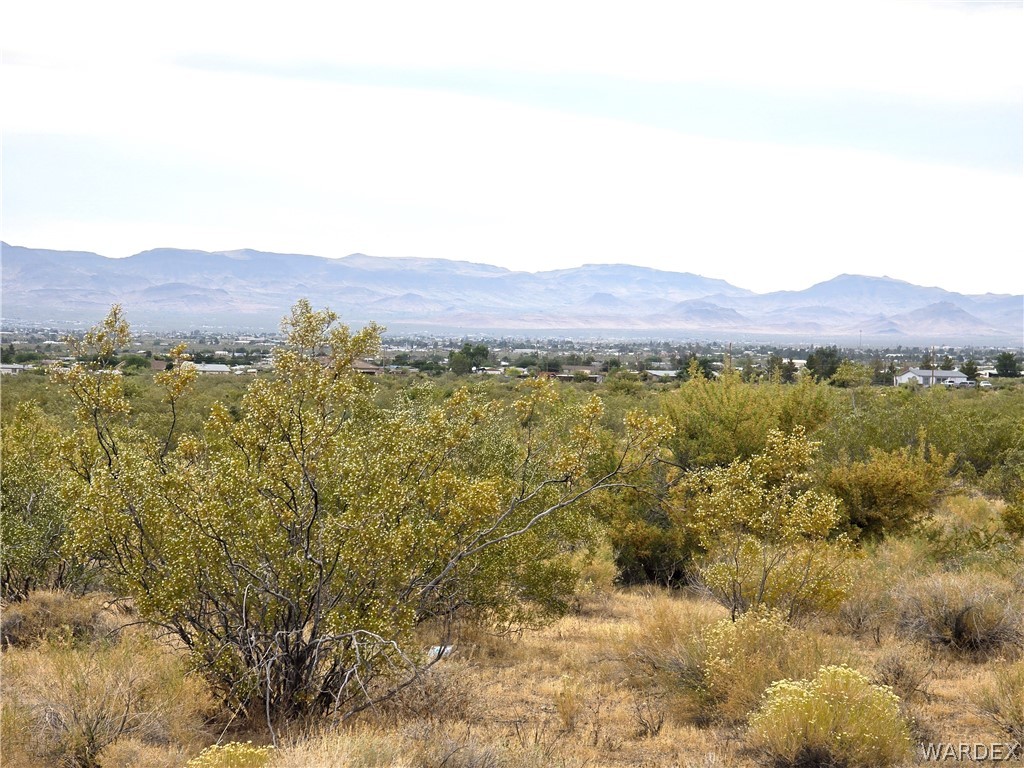 Lot 2 South Bonita Road Golden Valley, AZ 86413 - Photo 19 of 23 View