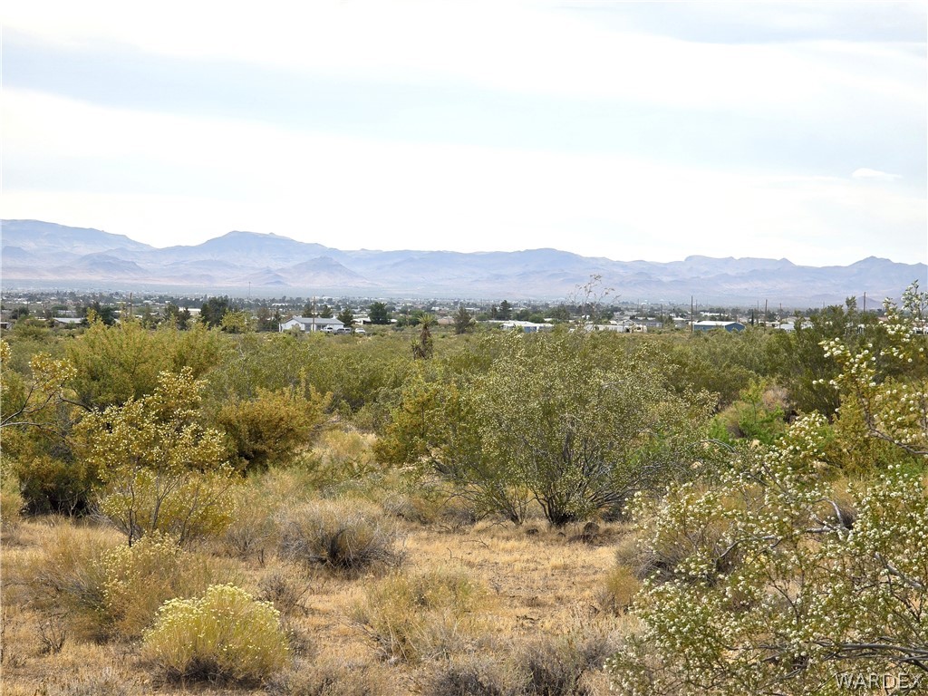 Lot 2 South Bonita Road Golden Valley, AZ 86413 - Photo 20 of 23 View