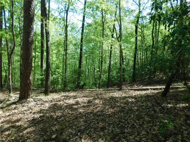 $125,000 | 250 Cliffs Falls Parkway, Salem, SC 29676