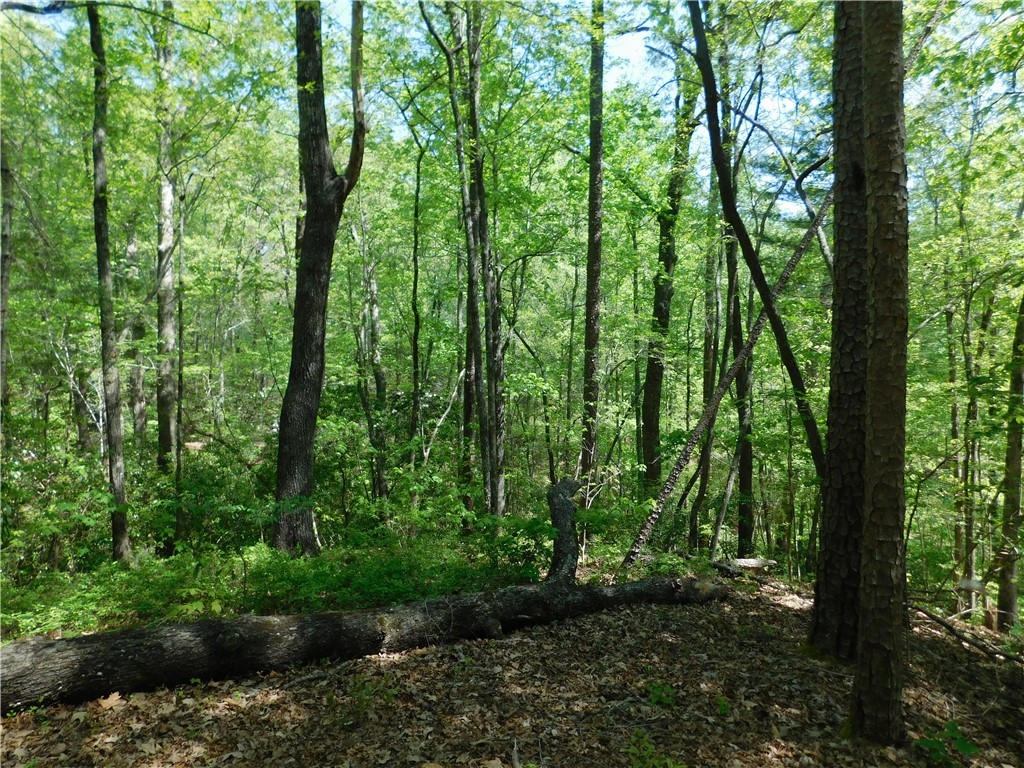 250 Cliffs Falls Parkway Salem, SC 29676 - Photo 5 of 6