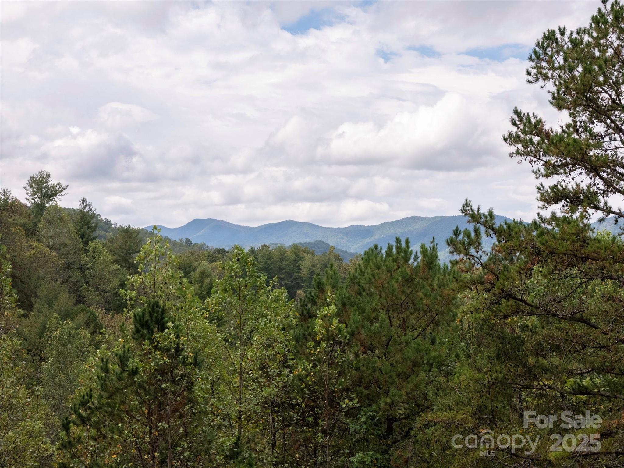 81 Mt Airy Road Marshall, NC 28753 - Photo 19 of 19