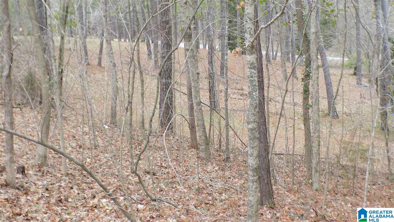 Xx Lister Ferry Road, Unit XX Rainbow City, AL 35906 - Photo 13 of 15