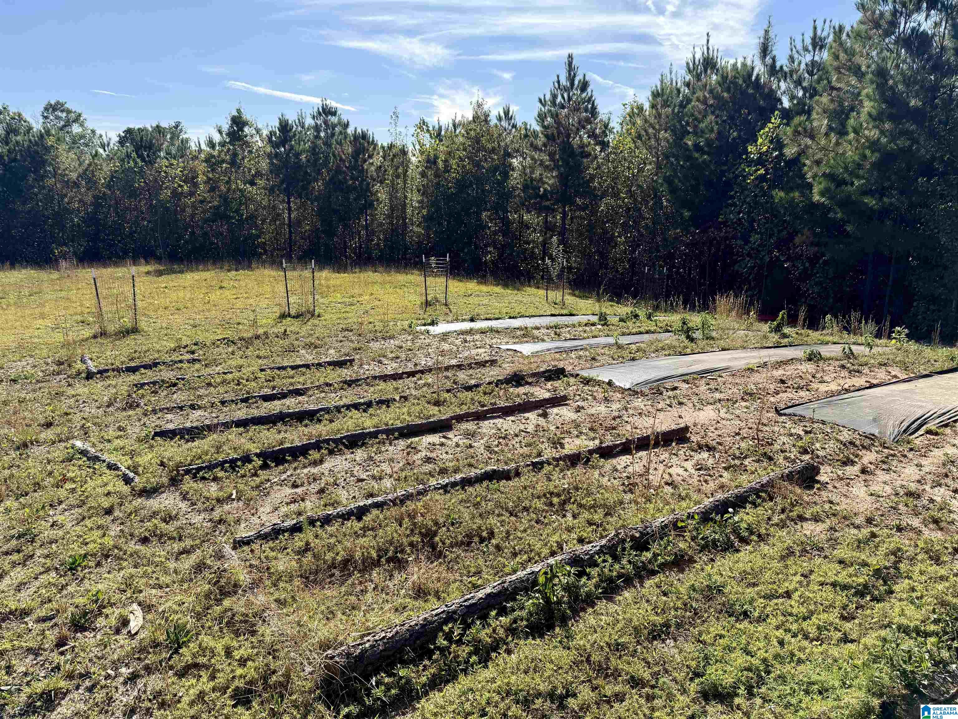 7070 Rendalia Motorway Talladega, AL 35160 - Photo 17 of 28