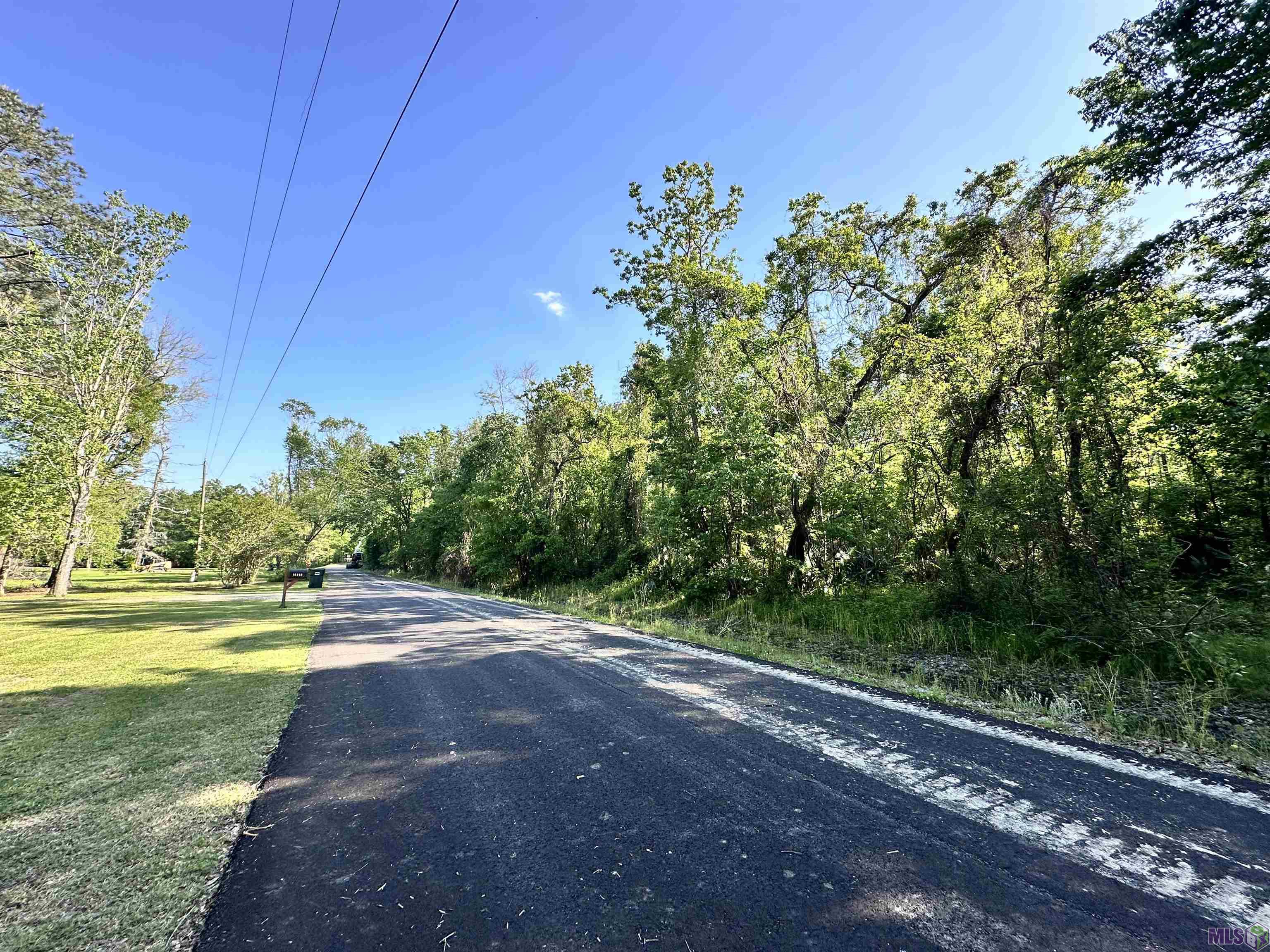 5-lots Summerfield S Road Prairieville, LA 70769 - Photo 4 of 4