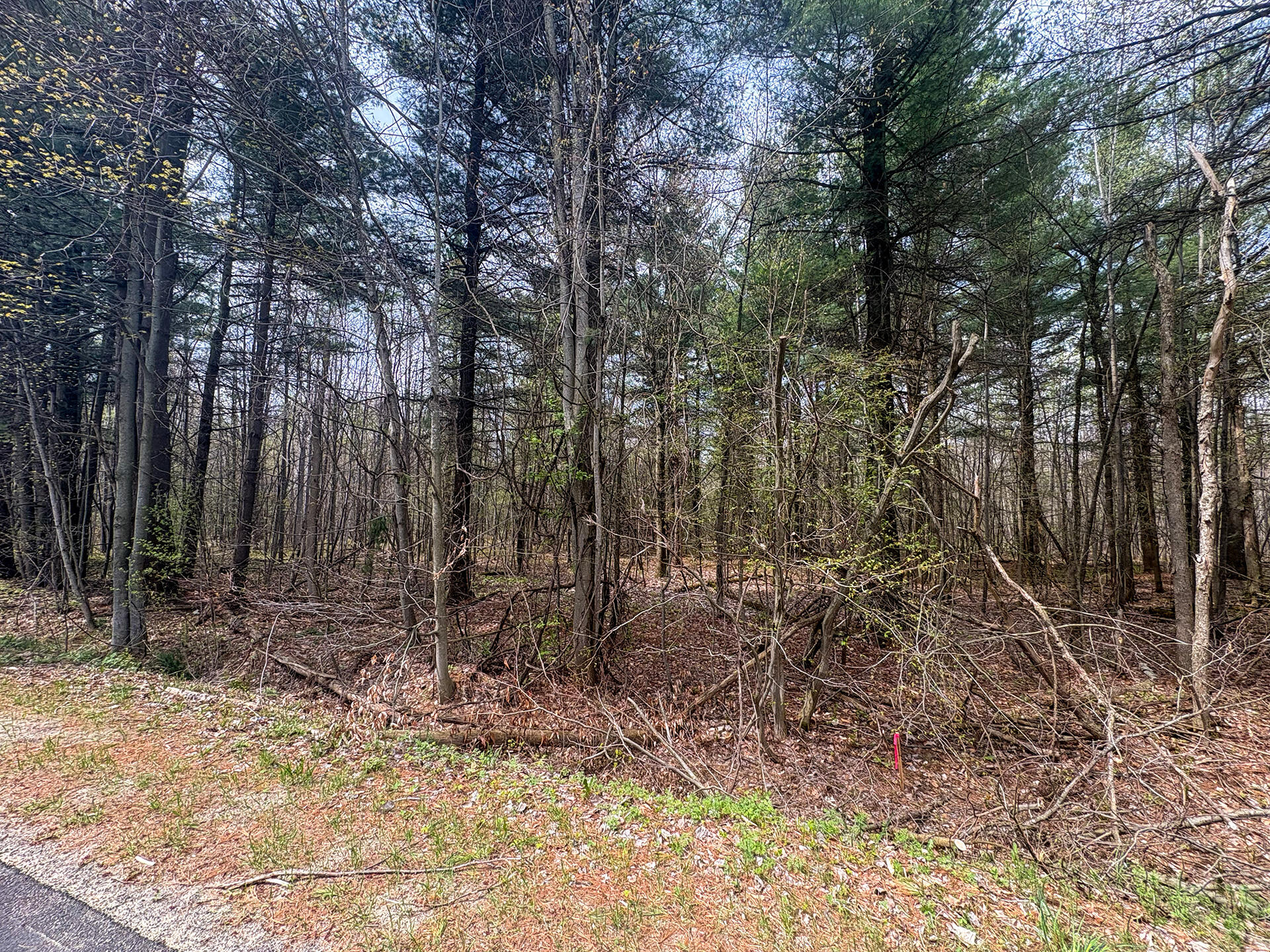 0 Callahan Road Burke, NY 12917 - Photo 13 of 14
