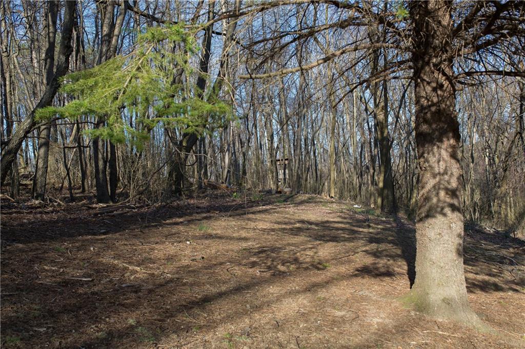 585 North Ben Franklin Road Indiana, PA 15701 - Photo 21 of 23