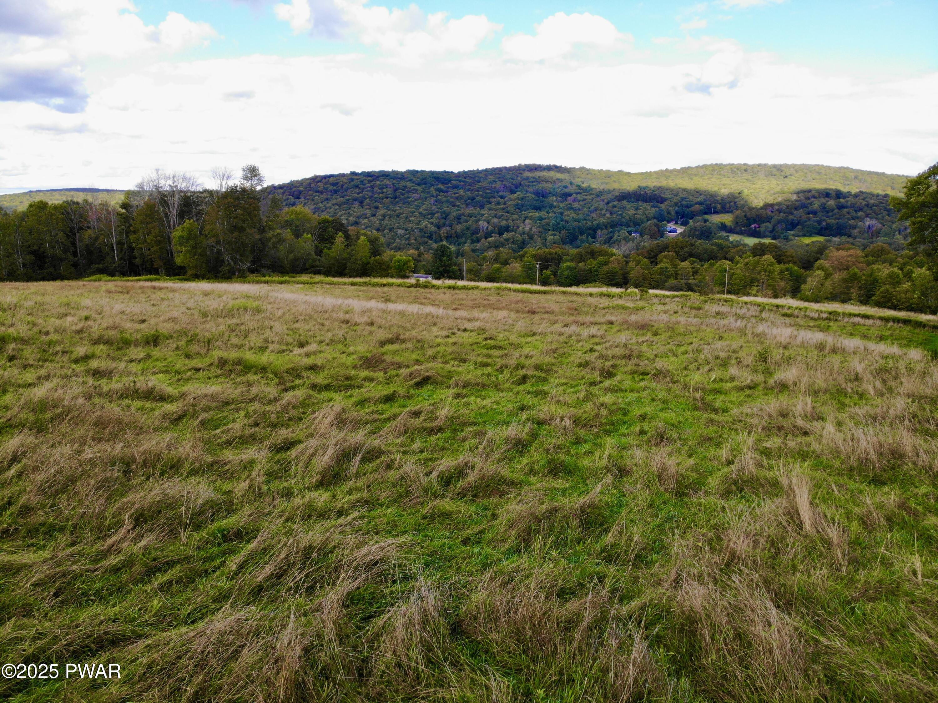 Fork Mountain Road Equinunk, PA 18417 - Photo 6 of 10