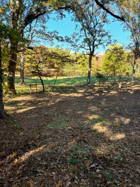229 Evergreen Road Clarksville, VA 23927 - Photo 60 of 61 Gallery Image 60