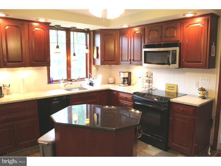 3410 Lewis Road Newtown Square, PA 19073 - Photo 2 of 23 a kitchen with a sink a stove and cabinets