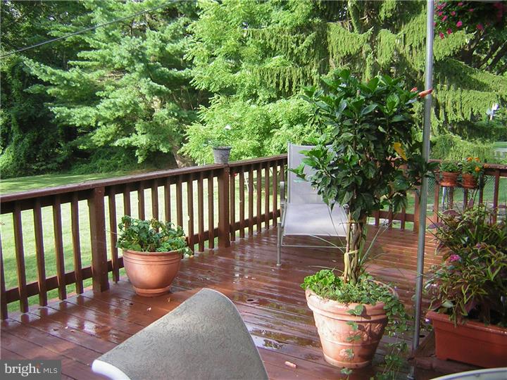3410 Lewis Road Newtown Square, PA 19073 - Photo 20 of 23 a view of a backyard with a potted plants
