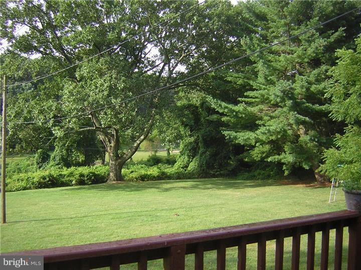 3410 Lewis Road Newtown Square, PA 19073 - Photo 22 of 23 a view of a yard with a trees