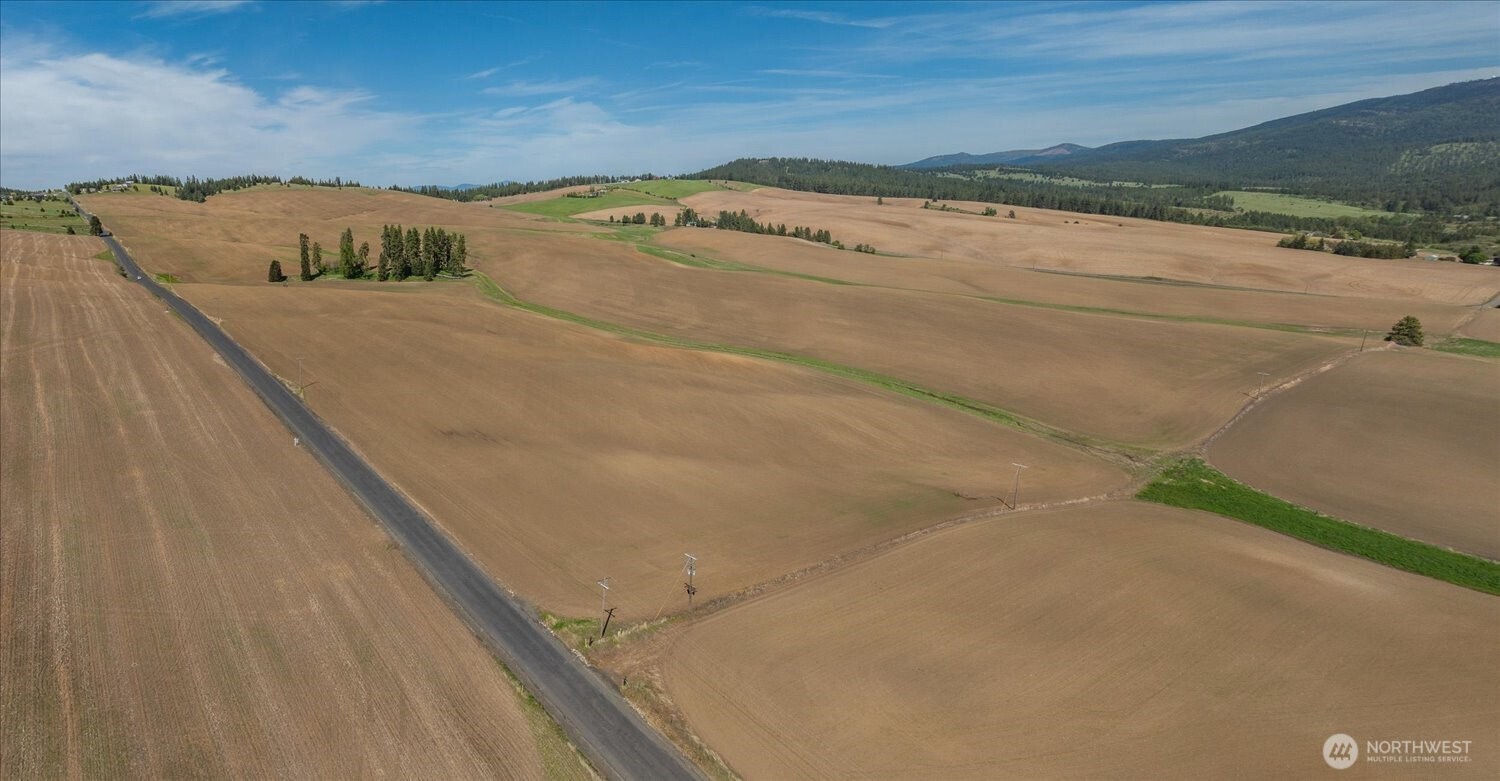 -xxx South Jackson Road, Unit LOT 17 Mica, WA 99023 - Photo 25 of 40 a view of an ocean beach