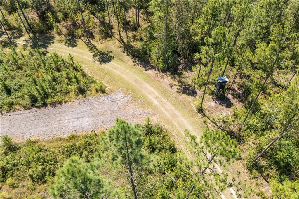 1603 Dl Durrence Road Reidsville, GA 30453 - Photo 20 of 31 Photo 20