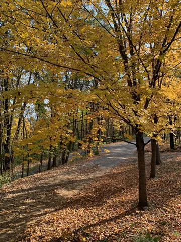 $575,000 | 360 3rd Street, Marine on St. Croix, MN 55047