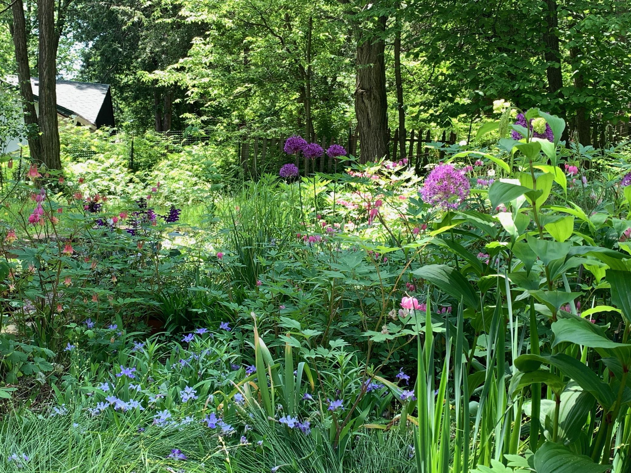 360 3rd Street Marine on St. Croix, MN 55047 - Photo 57 of 65